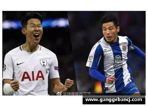 球员骂中国事件探析及其影响分析